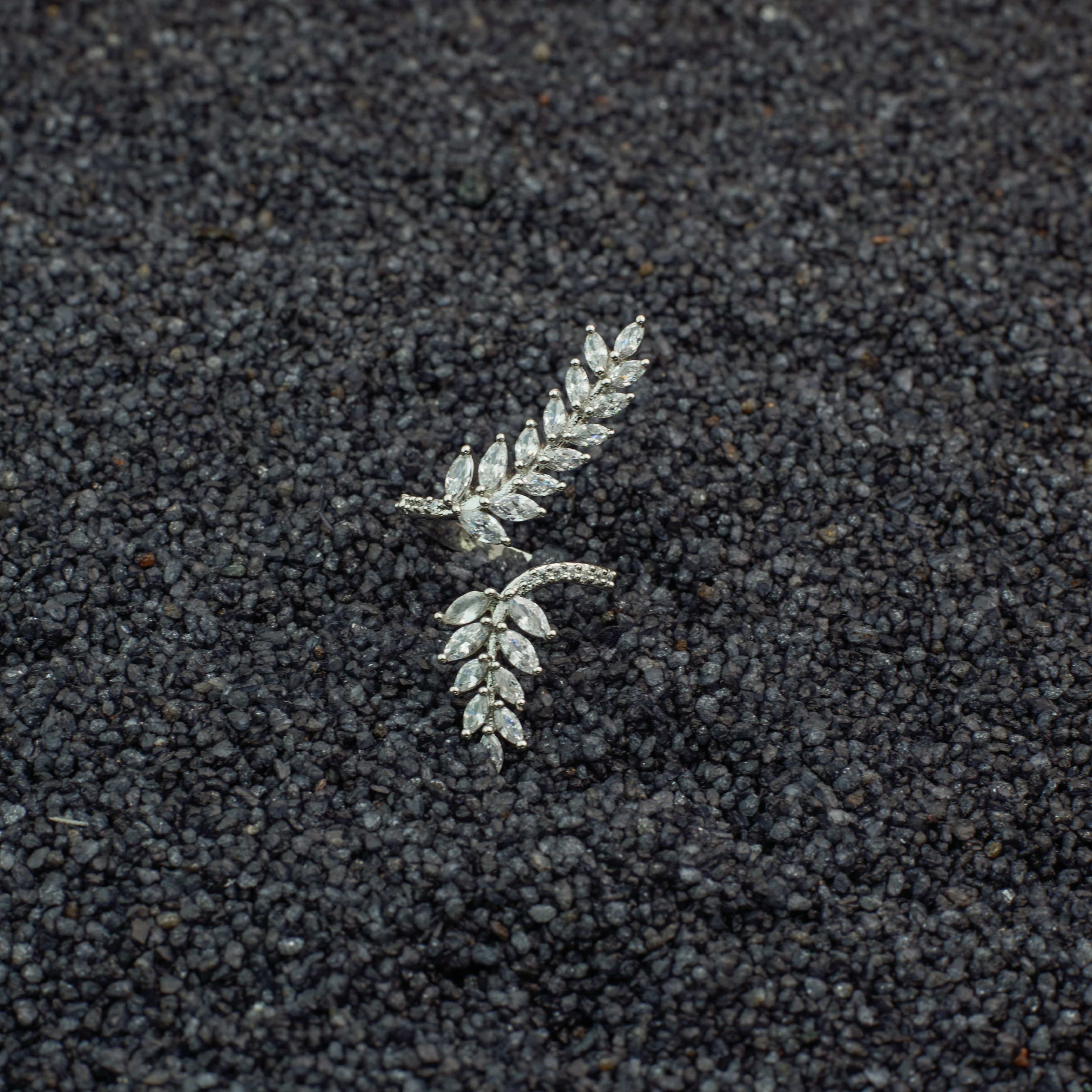 The Lovely Silver leafs